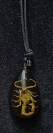 Scorpion - Necklace (black)